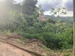 View 6