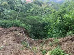 View 7