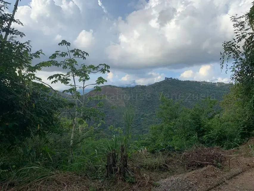 Terreno (Residencial) en Venta en Caicaguana, Distrito Metropolitano - 9