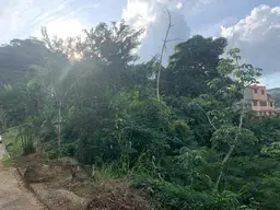 View 10