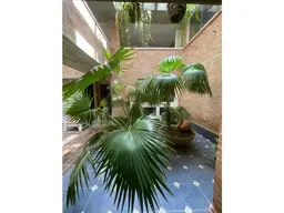 View 14