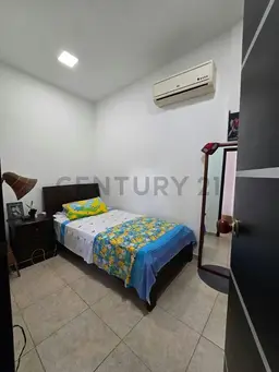 Vista 11