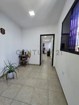 Vista 3