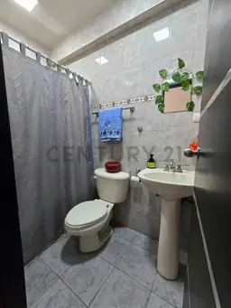 Vista 6