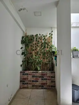 Vista 9