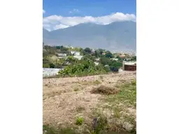 Vista 9