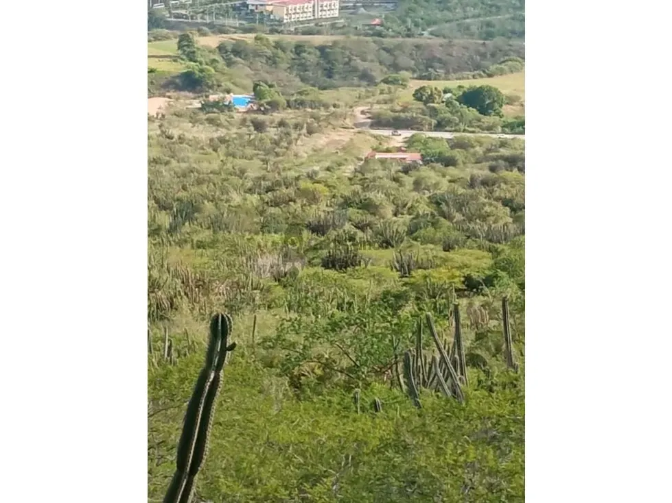 Terreno en venta Merida - 4