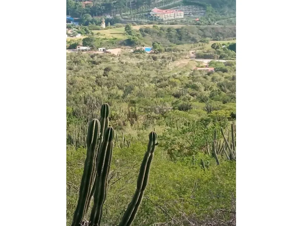 Terreno en venta Merida - 5