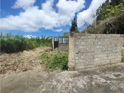 Vista 2