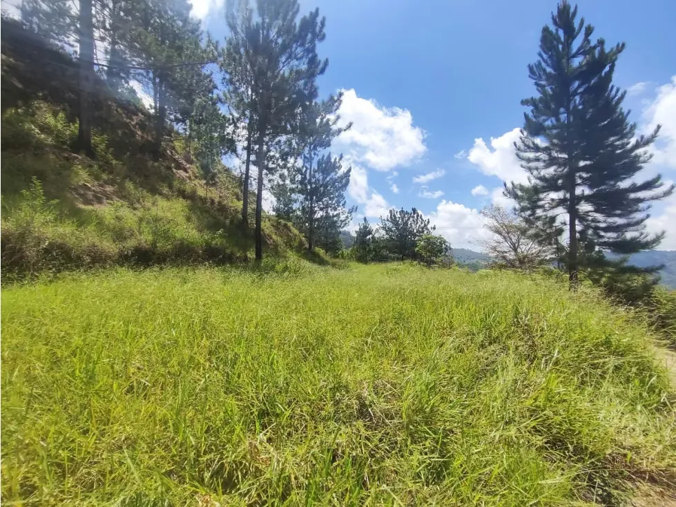 Venta terreno Monte Elena 23.061m2 - 4