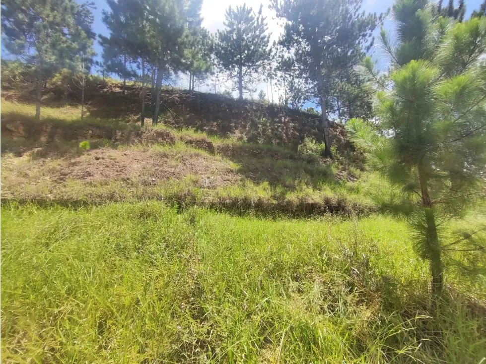 Venta terreno Monte Elena 23.061m2 - 6