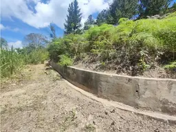 Vista 9