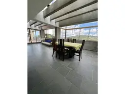 Vista 5