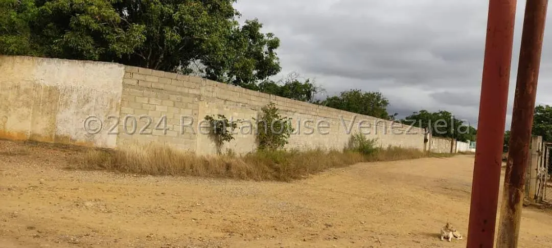 Casa (1 Nivel) en Venta en Parroquia Tamaca, Lara - 14