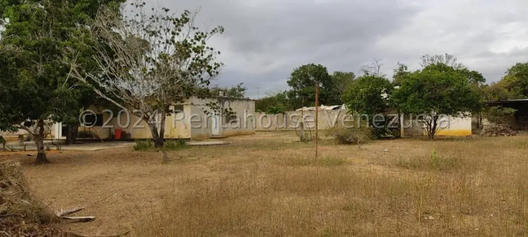 Casa (1 Nivel) en Venta en Parroquia Tamaca, Lara - 4
