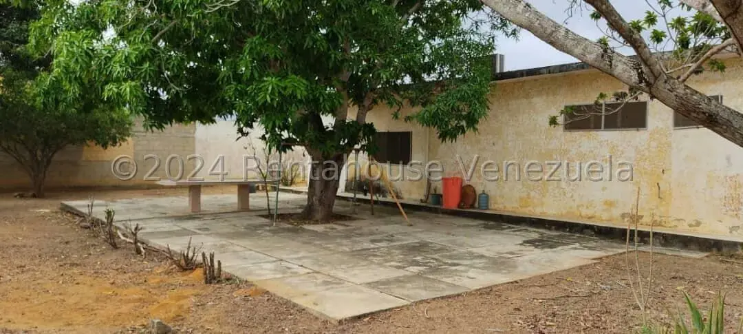 Casa (1 Nivel) en Venta en Parroquia Tamaca, Lara - 7