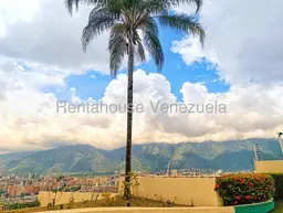 Vista 45