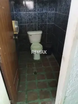 Vista 16