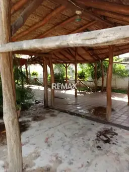 Vista 6