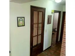 Vista 19