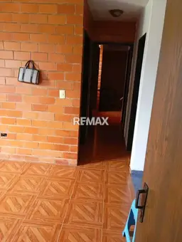 Vista 4
