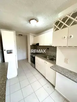 Vista 4