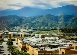 Vista 5