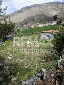 Vista 15