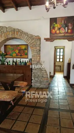Vista 19