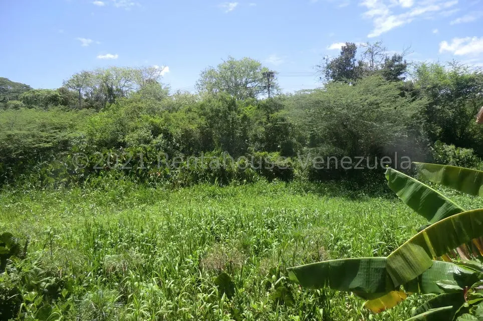 Negocios y Empresas (Hotel) en Venta en Los Canales de Rio Chico, Miranda - 16