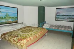 Vista 35