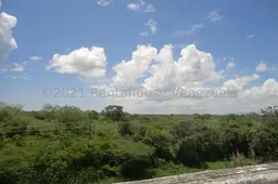 Vista 53