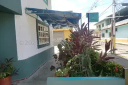 Vista 6