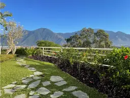 Vista 14