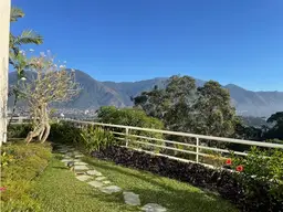 Vista 19
