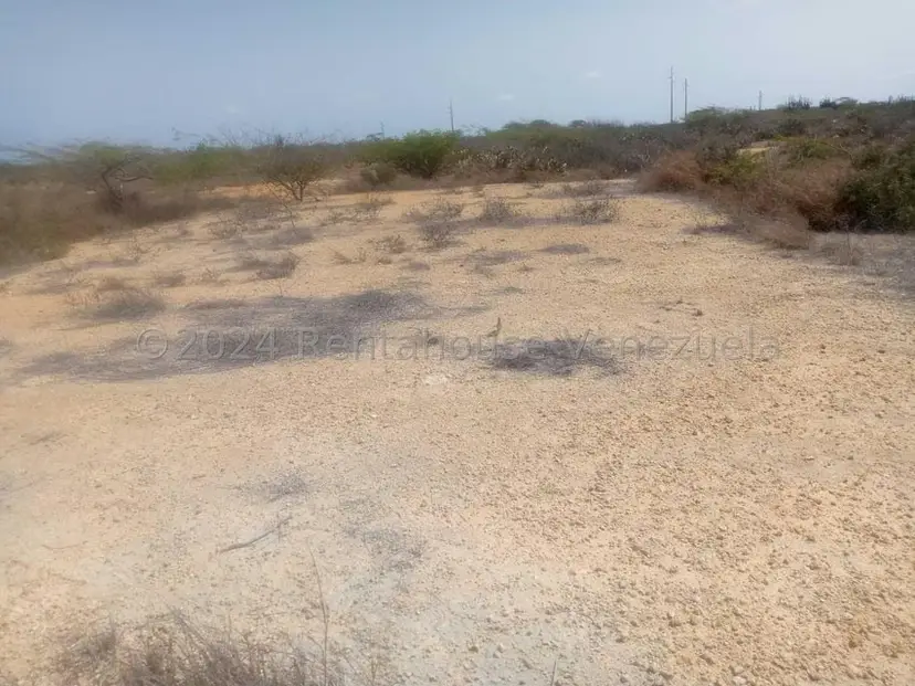Terreno (Residencial) en Venta en El Cardon, Falcon