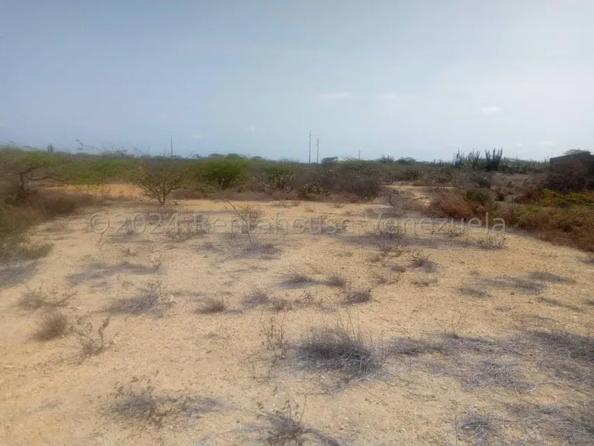 Terreno (Residencial) en Venta en El Cardon, Falcon - 3