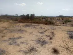 Vista 5