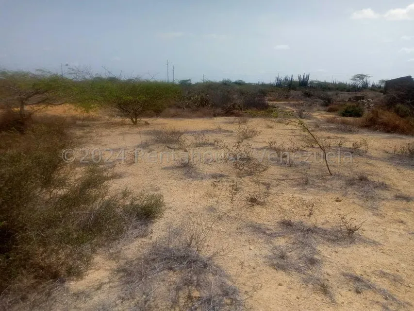 Terreno (Residencial) en Venta en El Cardon, Falcon - 6