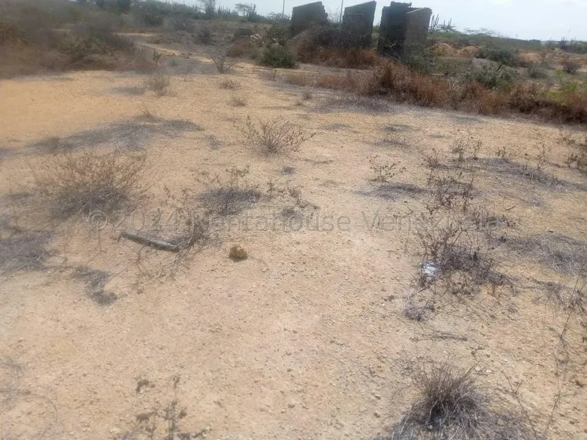 Terreno (Residencial) en Venta en El Cardon, Falcon - 7