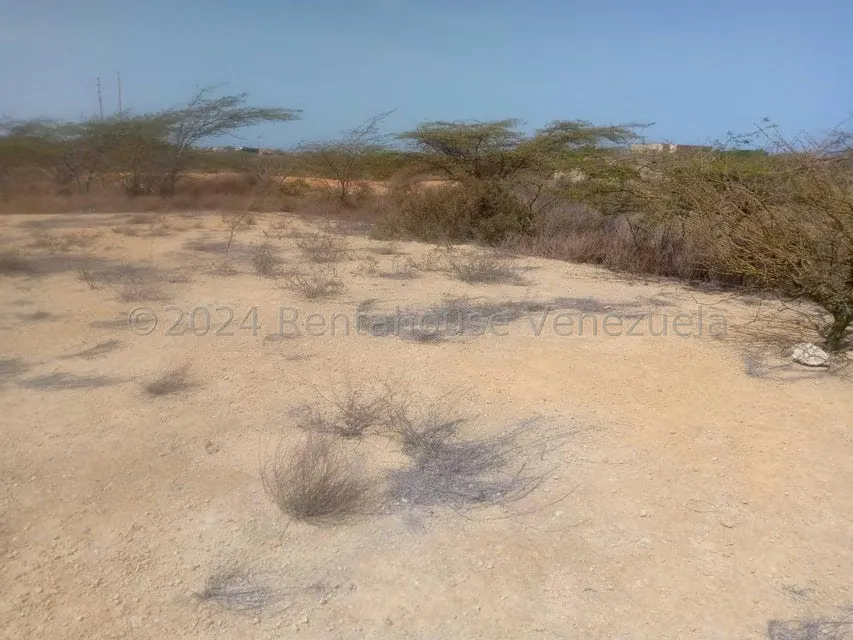 Terreno (Residencial) en Venta en El Cardon, Falcon - 8