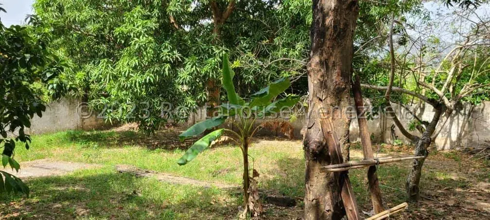 Terreno (Comercial) en Venta en La Asuncion, Nueva Esparta - 5