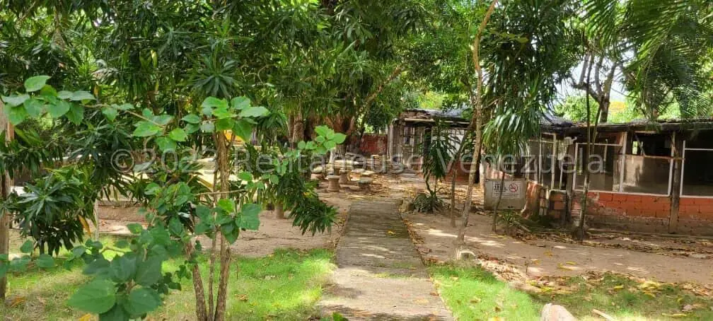 Terreno (Comercial) en Venta en La Asuncion, Nueva Esparta - 7