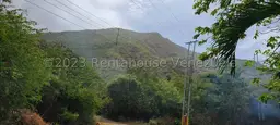 View 10