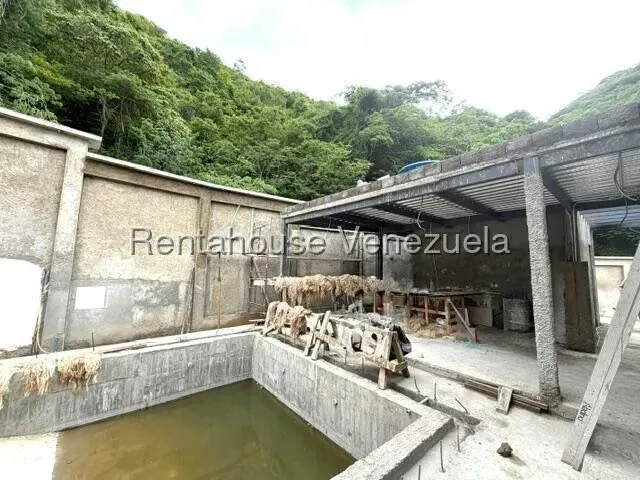 Terreno (Residencial) en Venta en Prados del Este, Distrito Metropolitano - 7