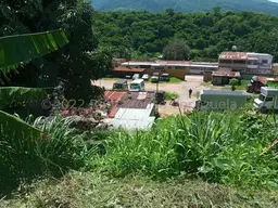 Vista 11