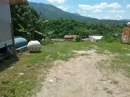 Vista 12