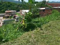 Vista 13