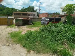 Vista 15