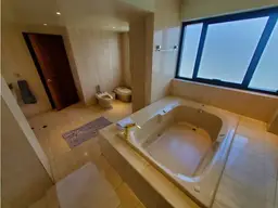View 46